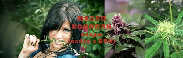 сатива Алексеевка