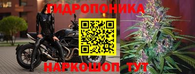 стаф Краснодар