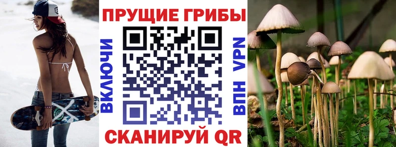 Псилоцибиновые грибы Magic Shrooms  Коломна 