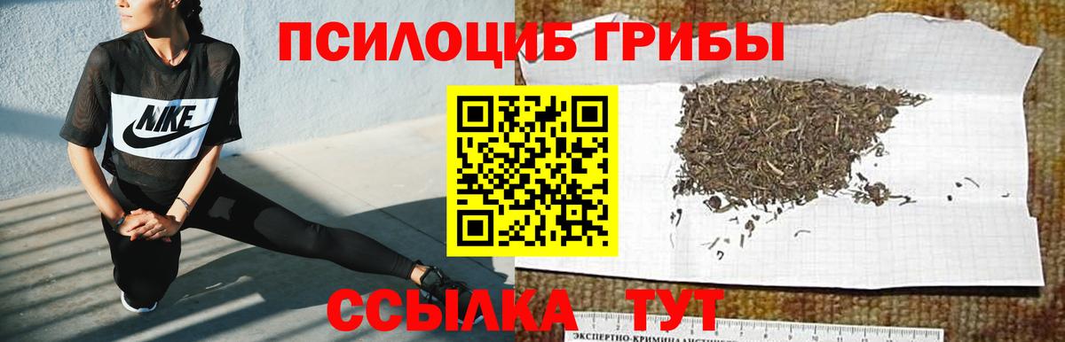 Галлюциногенные грибы MAGIC MUSHROOMS Коломна